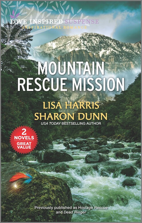 Mountain Rescue Mission