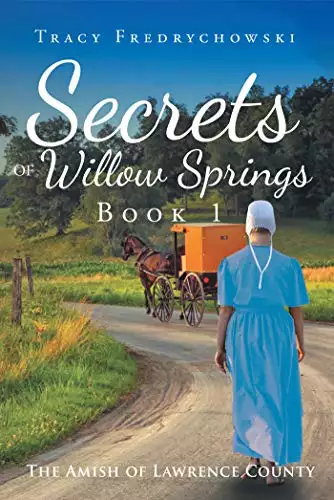 Secrets of Willow Springs: Book 1: An Amish Christian Book