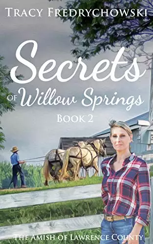 Secrets of Willow Springs - Book 2: An Amish Christian Book