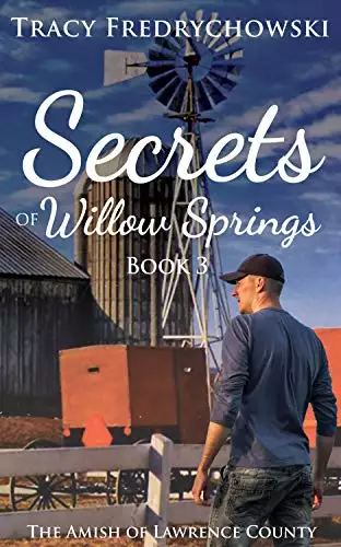 Secrets of Willow Springs - Book 3: Amish Christian Fiction: The Amish of Lawrence County