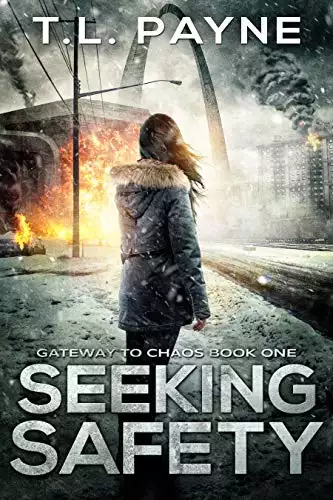 Seeking Safety: A Post Apocalyptic EMP Survival Thriller