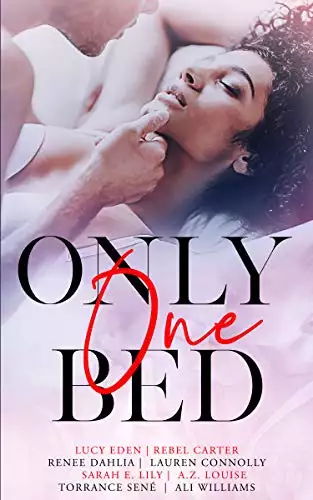 Only One Bed: A Steamy Romance Anthology Vol 1