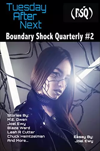 Tuesday After Next: Boundary Shock Quarterly #2