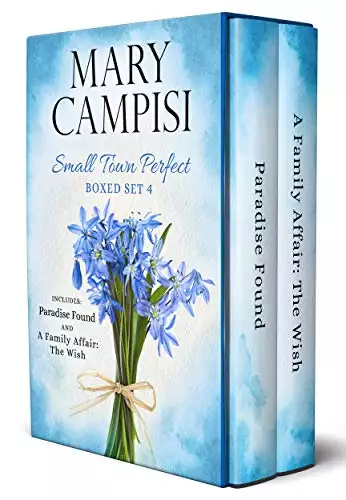 Small Town Perfect Boxed Set 4