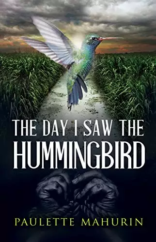 The Day I Saw the Hummingbird: A Novel