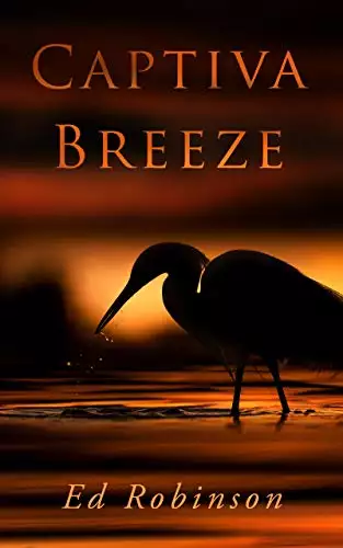 Captiva Breeze: A Bluewater Breeze Novel