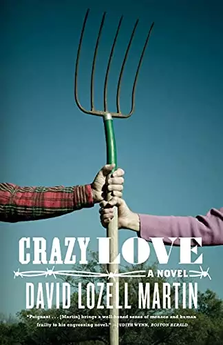 Crazy Love