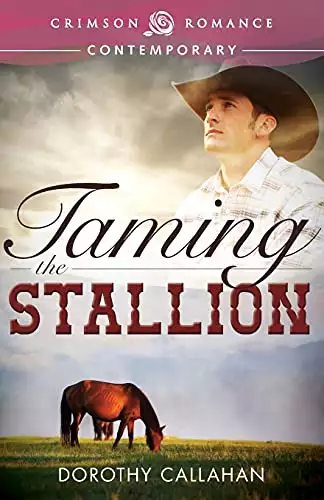 Taming the Stallion