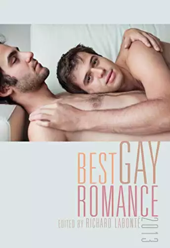 Best Gay Romance 2013