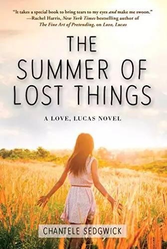Summer of Lost Things