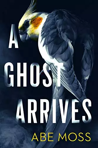A Ghost Arrives: A Novel