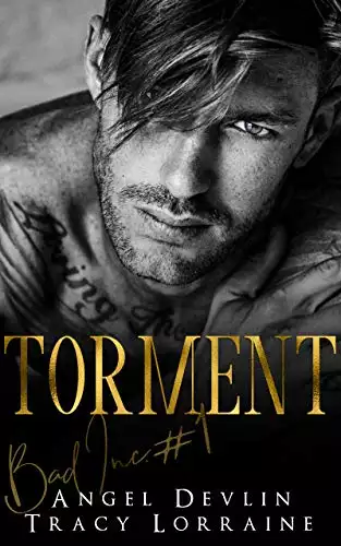 Torment: A revenge bully billionaire romance