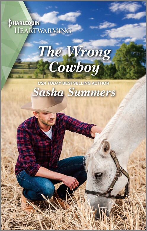 The Wrong Cowboy