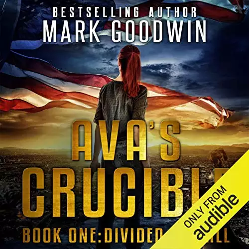 Divided We Fall: A Post-Apocalyptic Novel of America's Coming Civil War: Ava's Crucible, Book 1