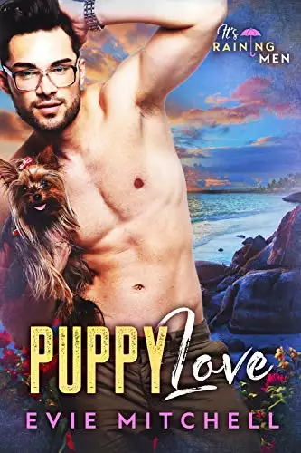 Puppy Love: A small town romance