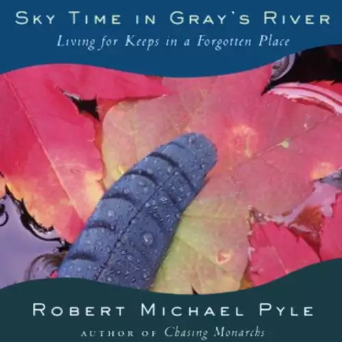 Sky Time in Gray's River: Living for Keeps in a Forgotten Place