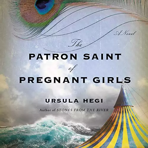 The Patron Saint of Pregnant Girls: A Novel
