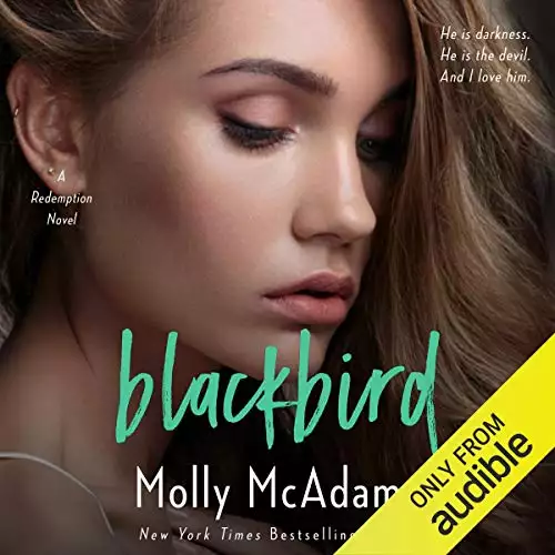 Blackbird: Redemption, Volume 1