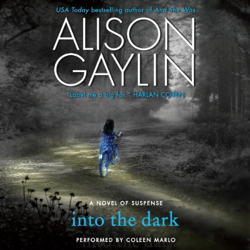 Into the Dark: A Novel of Suspense