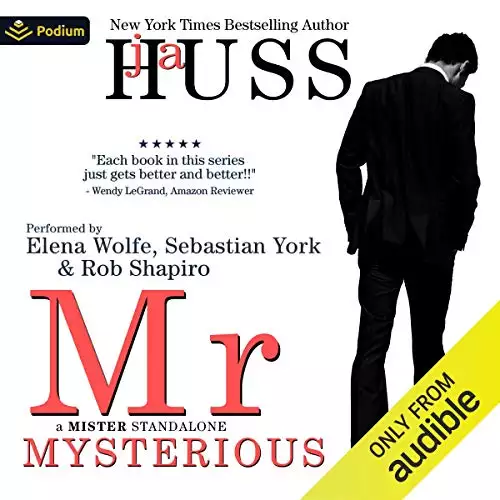 Mr. Mysterious: A Mister Standalone, Book 4