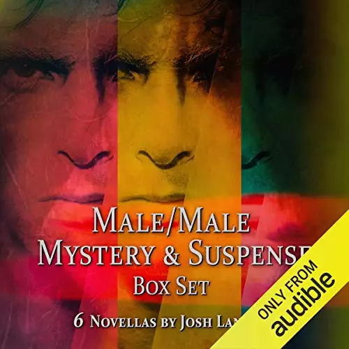 Male/Male Mystery and Suspense Box Set: 6 Novellas
