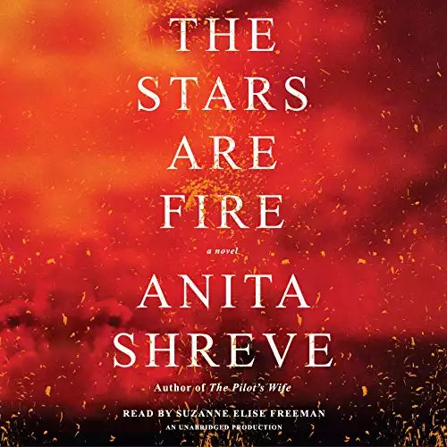 The Stars Are Fire: A Novel