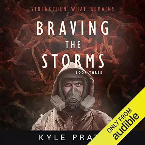 Braving the Storms: Strengthen What Remains Book 3