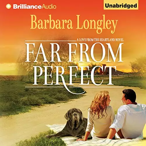 Far from Perfect: A Love from the Heartland Novel, Book 1