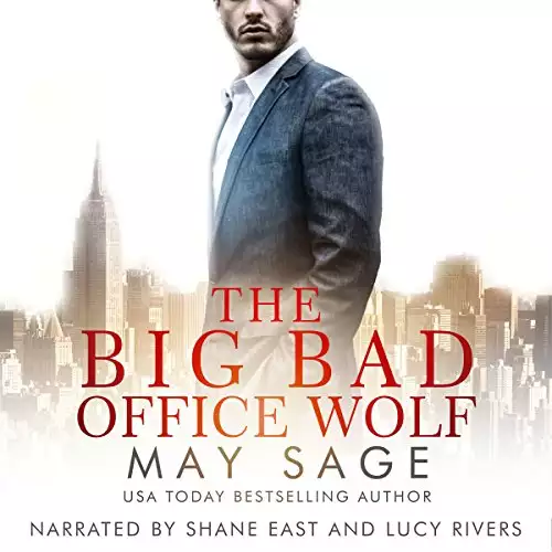 The Big Bad Office Wolf: Kings of the Tower, Book 1