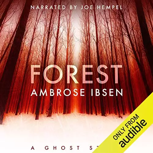 Forest: The Afterlife Investigations, Book 2