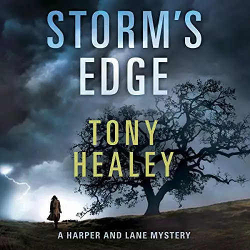 Storm's Edge: Harper and Lane, Book 2