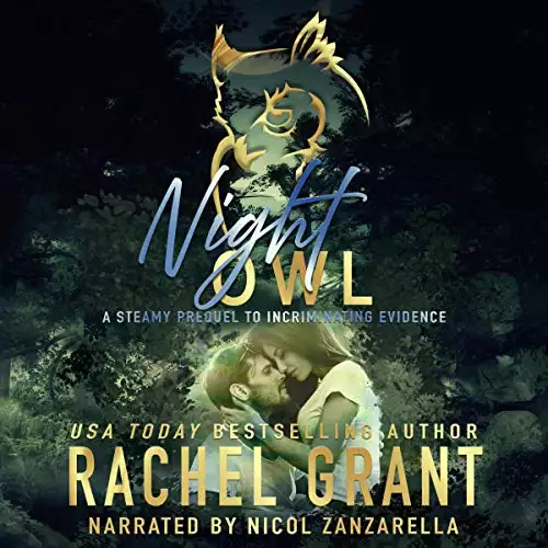 Night Owl: A Steamy Prequel to Incriminating Evidence