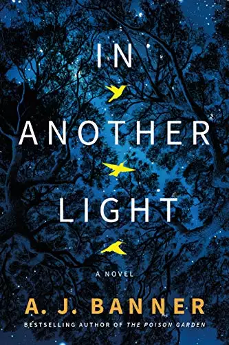 In Another Light: A Novel