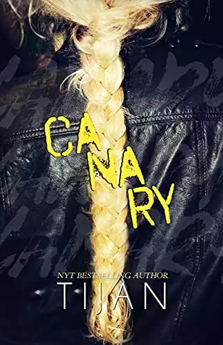 Canary: A mafia/cartel enemies-to-lovers standalone.