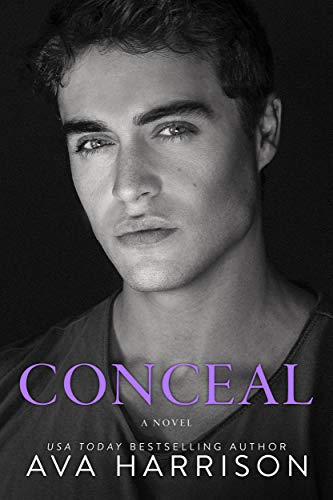 Conceal: A Standalone Billionaire Romance
