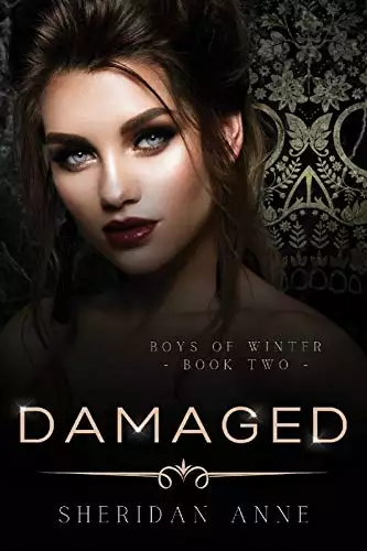 Damaged: An Enemies to Lovers Reverse Harem Romance