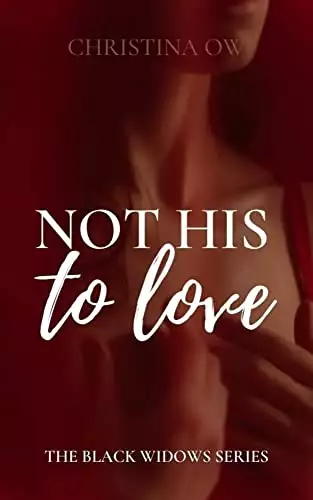 Not His To Love: Legal Romantic Thriller