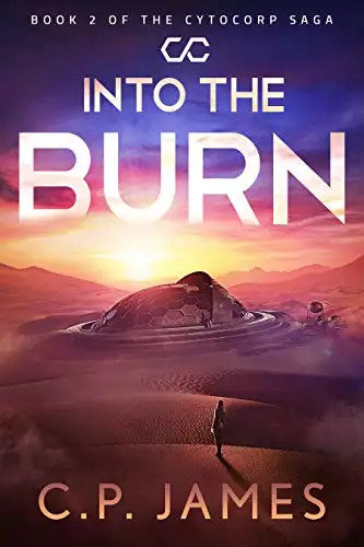 Into the Burn: A Dystopian Adventure