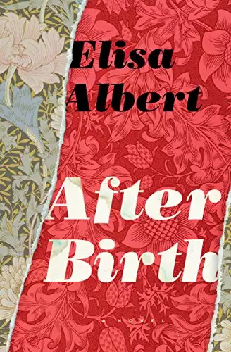After Birth: A Novel