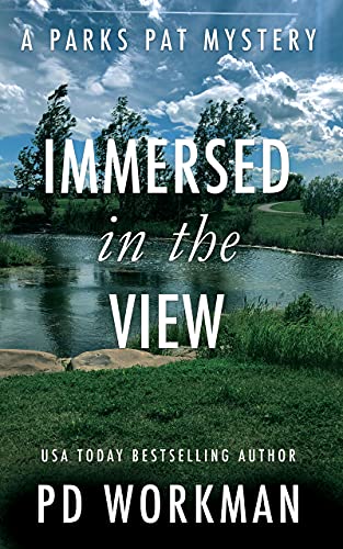 Immersed in the View