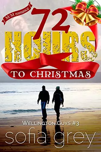 72 Hours to Christmas: A one-night stand romantic short story