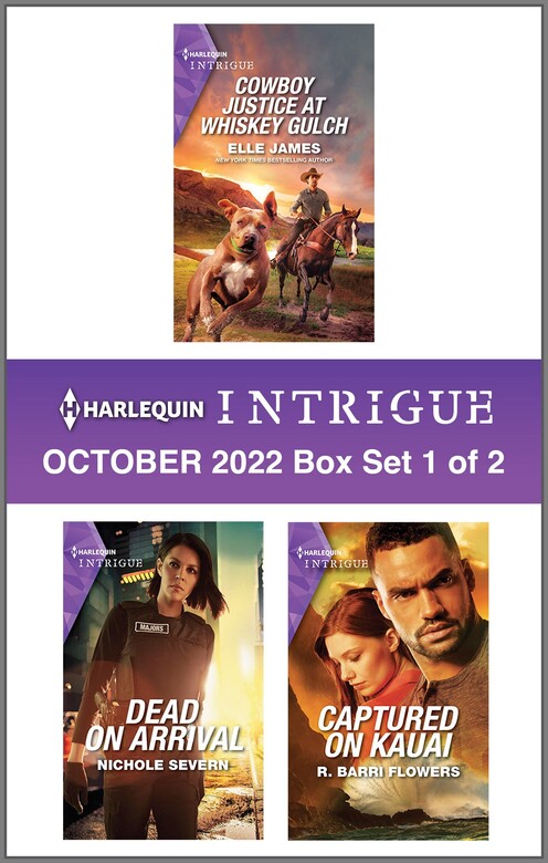 Harlequin Intrigue October 2022 - Box Set 1 Of 2 By Elle James