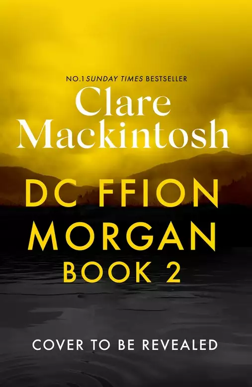 DC Ffion Morgan Book 2