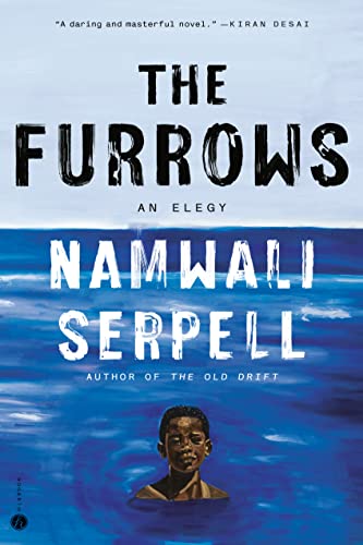 The Furrows: A Novel