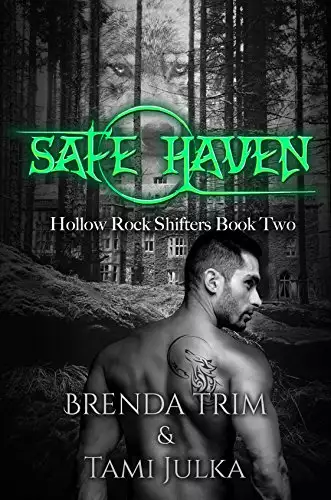 Safe Haven: Hollow Rock Shifters Book 2