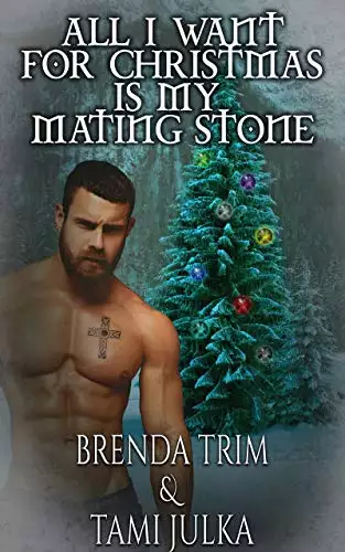 All I Want for Christmas is my Mating Stone: Dark Warrior Alliance Novella, Book 20.5