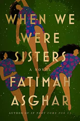 When We Were Sisters: A Novel