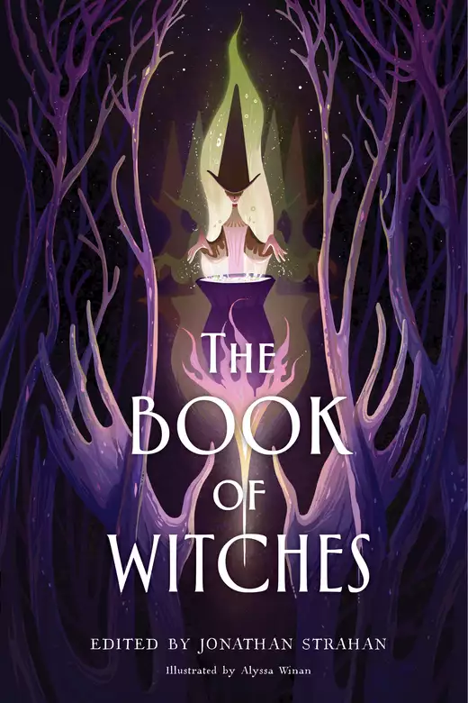 The Book of Witches