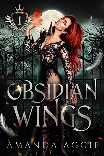 Obsidian Wings