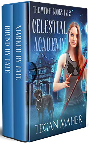 Celestial Academy: The Witch Books 1&2